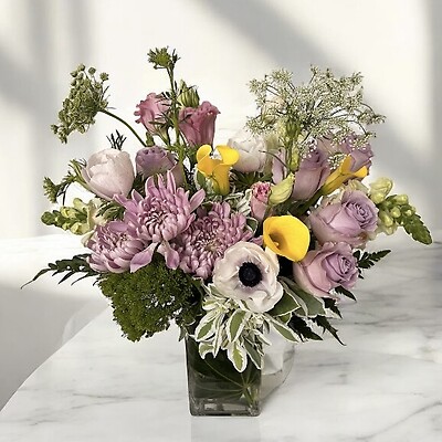 Silicon Valley Romance